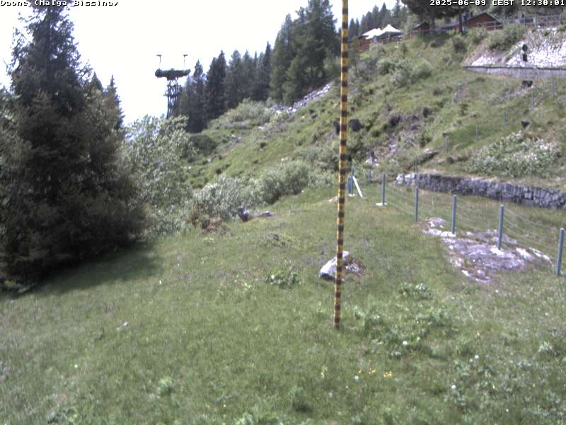 immagine della webcam nei dintorni di Niardo: webcam Valdaone