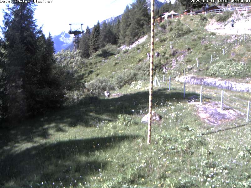immagine della webcam nei dintorni di Daone: webcam Valdaone