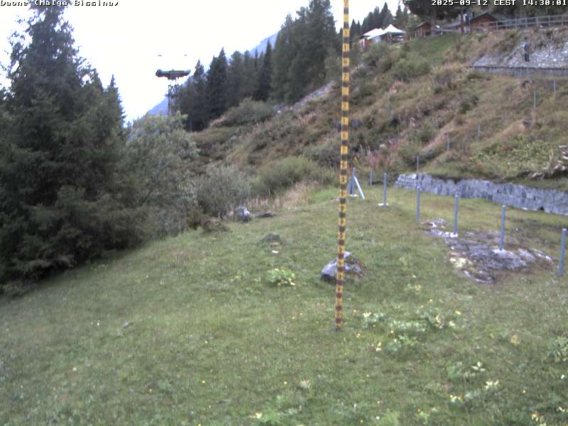 immagine della webcam nei dintorni di Saviore dell'Adamello: webcam Valdaone