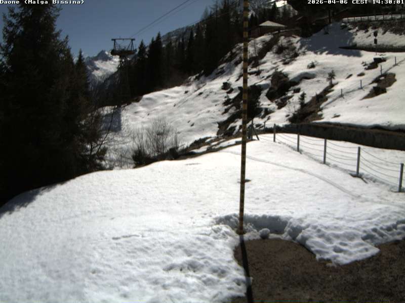 immagine della webcam nei dintorni di Saviore dell'Adamello: webcam Valdaone