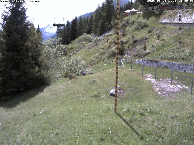 immagine della webcam nei dintorni di Saviore dell'Adamello: webcam Valdaone