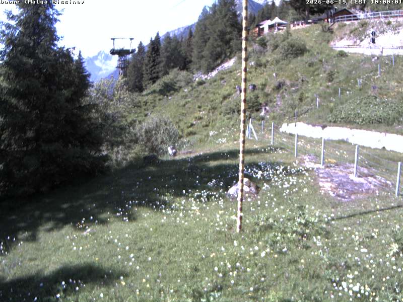 immagine della webcam nei dintorni di Bagolino: webcam Valdaone