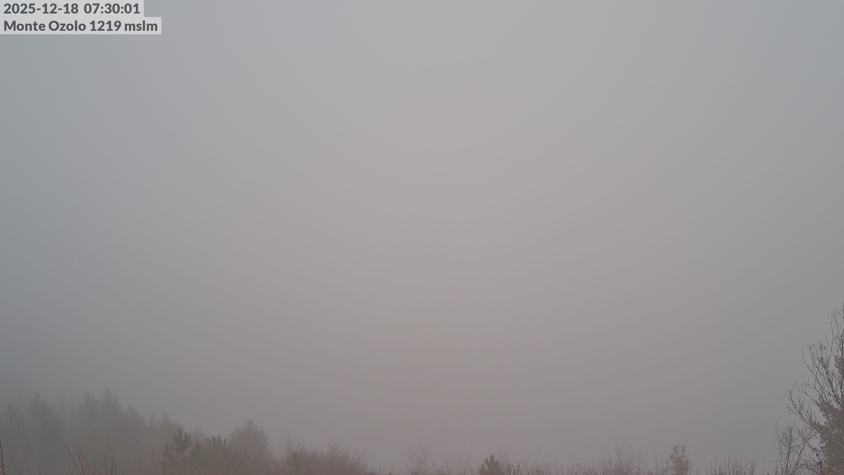 immagine della webcam nei dintorni di Cortaccia sulla Strada del Vino: webcam Novella