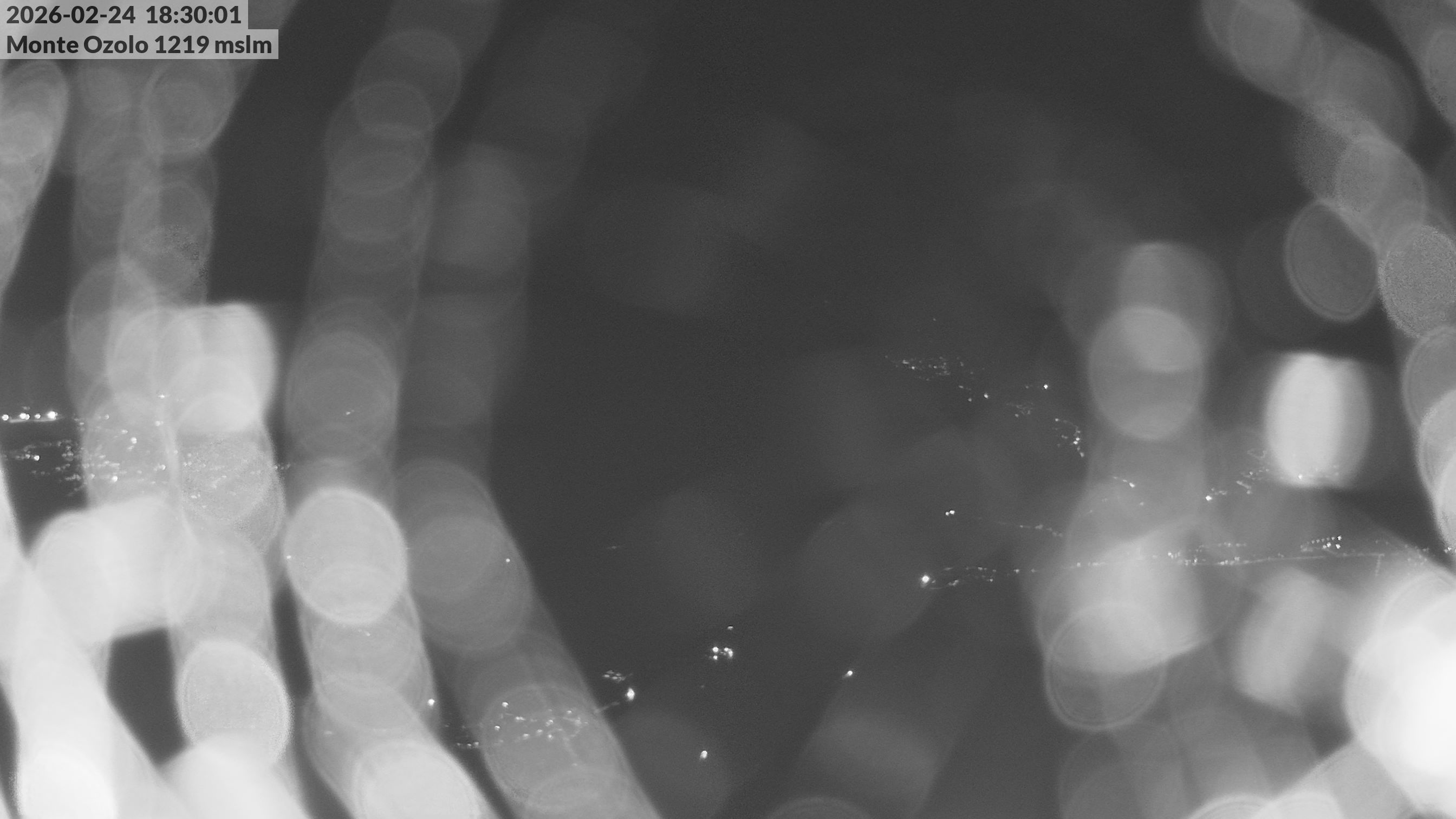 immagine della webcam nei dintorni di Dimaro: webcam Novella