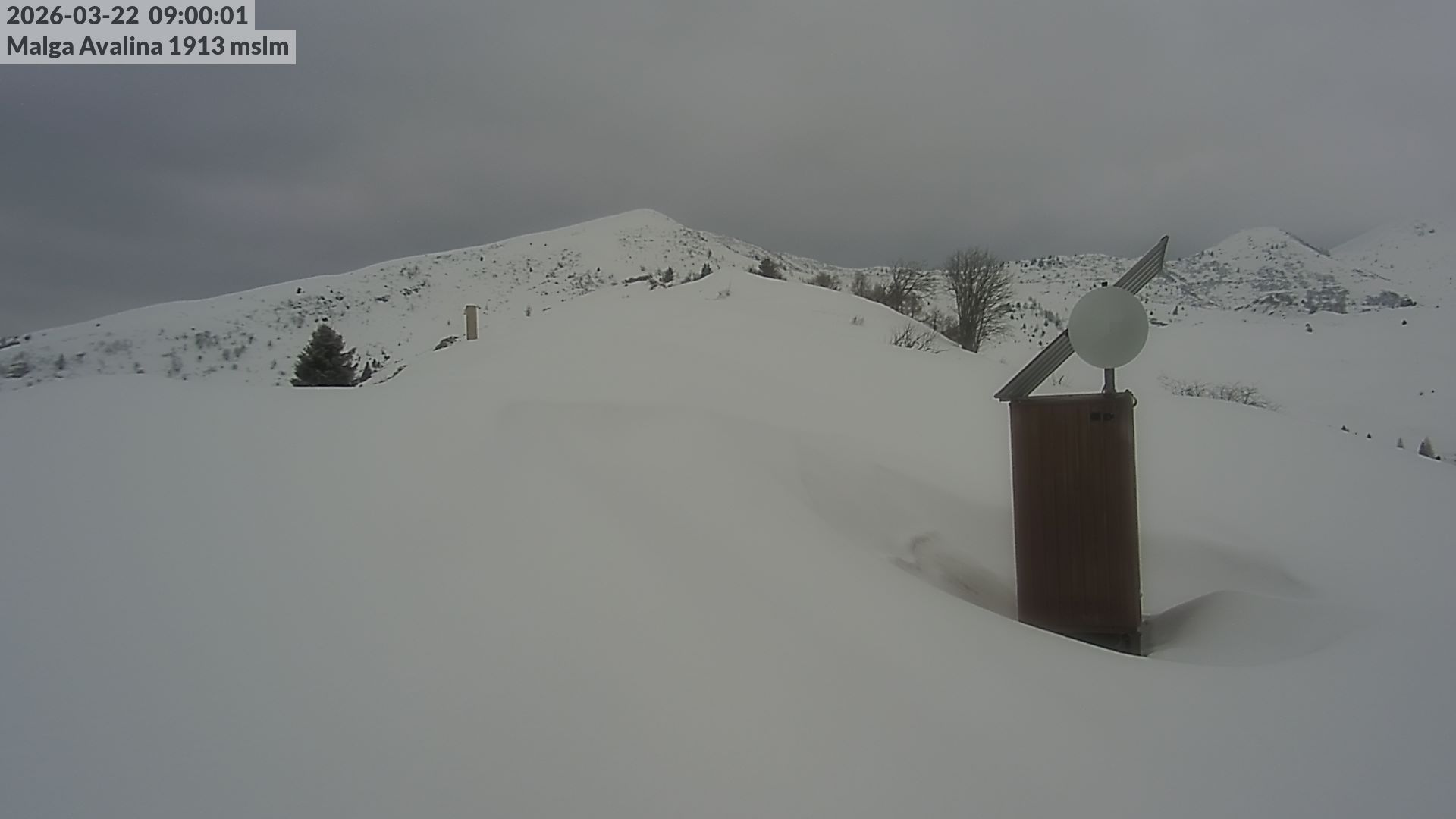 immagine della webcam nei dintorni di Bagolino: webcam Roncone