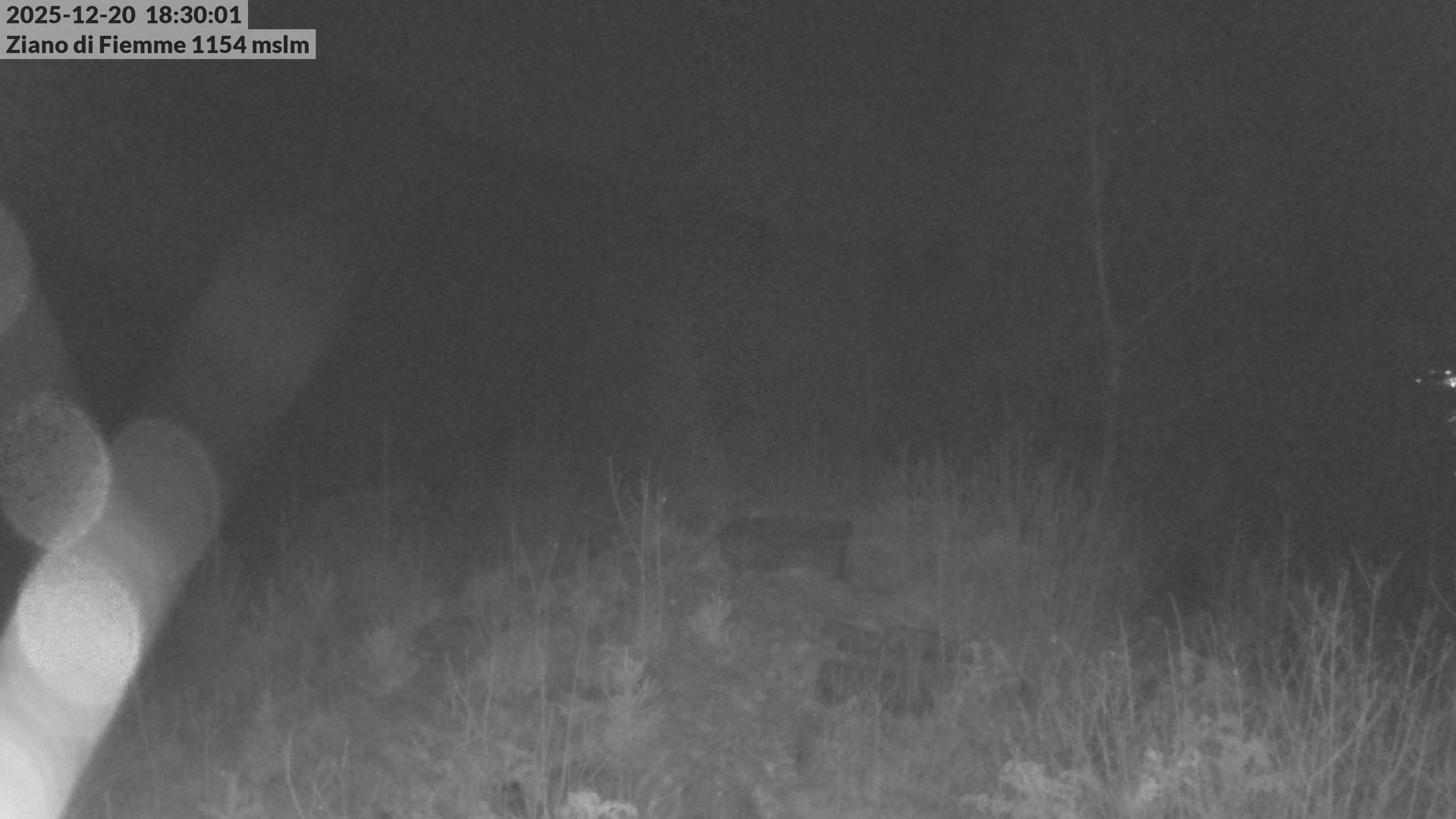 immagine della webcam nei dintorni di Cavalese: webcam Ziano di Fiemme