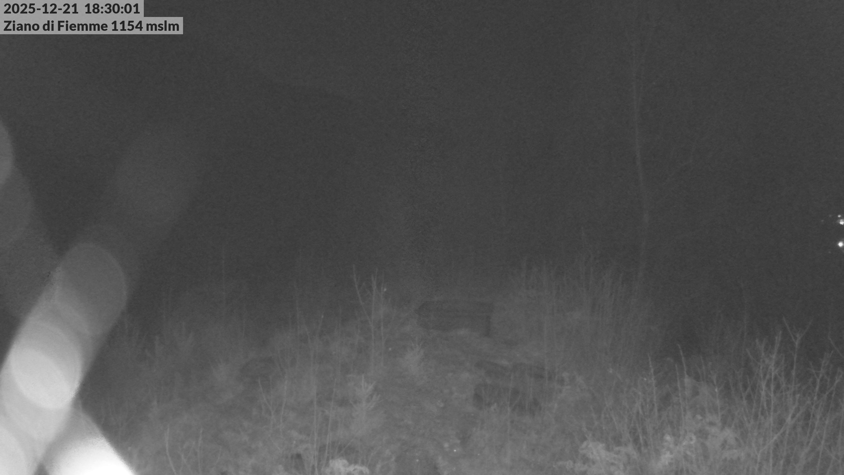 immagine della webcam nei dintorni di Cavalese: webcam Ziano di Fiemme