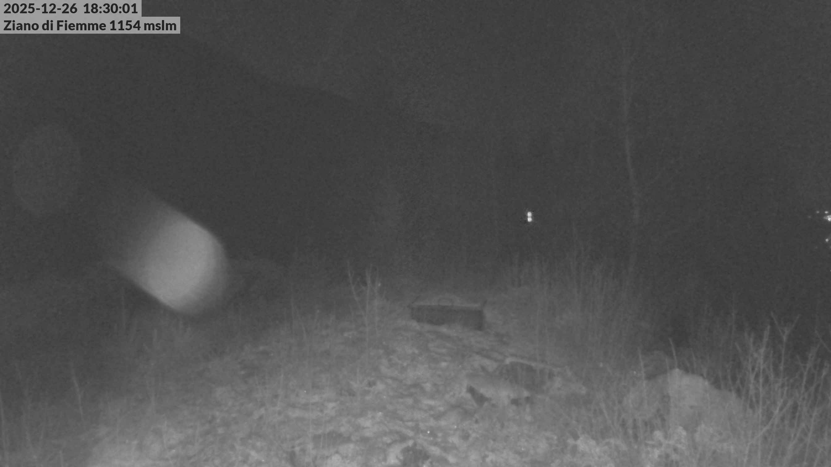 immagine della webcam nei dintorni di San Martino di Castrozza: webcam Ziano di Fiemme